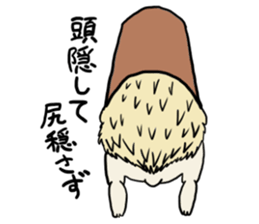 Hdgehog Kohaku sticker #15918201