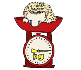 Hdgehog Kohaku sticker #15918205