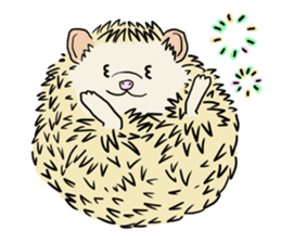 Hdgehog Kohaku sticker #15918206