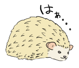 Hdgehog Kohaku sticker #15918207