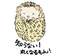 Hdgehog Kohaku sticker #15918209