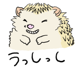 Hdgehog Kohaku sticker #15918211