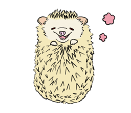 Hdgehog Kohaku sticker #15918212