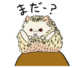 Hdgehog Kohaku sticker #15918214