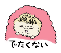 Hdgehog Kohaku sticker #15918218
