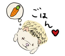 Hdgehog Kohaku sticker #15918222