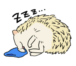 Hdgehog Kohaku sticker #15918233