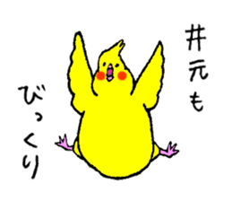 Cockatiel's name is Imoto sticker #15918827