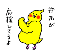 Cockatiel's name is Imoto sticker #15918828