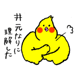 Cockatiel's name is Imoto sticker #15918829