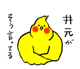 Cockatiel's name is Imoto sticker #15918830