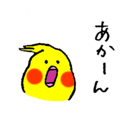 Cockatiel's name is Imoto sticker #15918834