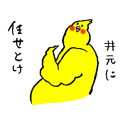 Cockatiel's name is Imoto sticker #15918836