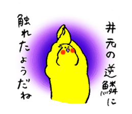 Cockatiel's name is Imoto sticker #15918837