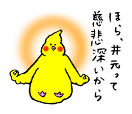 Cockatiel's name is Imoto sticker #15918839