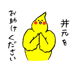 Cockatiel's name is Imoto sticker #15918842