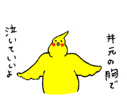 Cockatiel's name is Imoto sticker #15918845