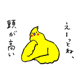 Cockatiel's name is Imoto sticker #15918846