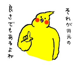 Cockatiel's name is Imoto sticker #15918851