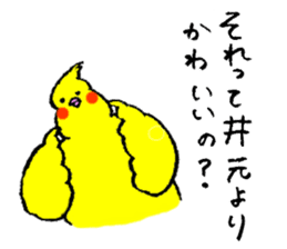 Cockatiel's name is Imoto sticker #15918856