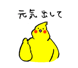Cockatiel's name is Imoto sticker #15918859