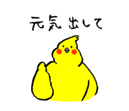 Cockatiel's name is Imoto sticker #15918859