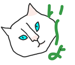 heconeco cat sticker #15920989
