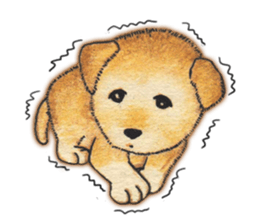 duckgu sticker #15921055