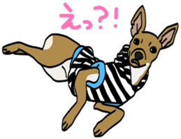 DOGDOGDOG Sticker2 sticker #15921916