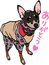 DOGDOGDOG Sticker2 sticker #15921921