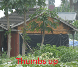 Good bell sticker #15922043