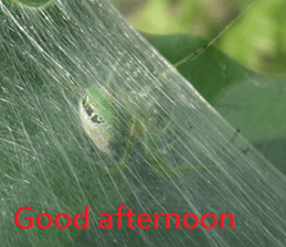 Good bell sticker #15922044