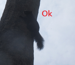 Good bell sticker #15922048