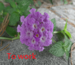 Good bell sticker #15922049