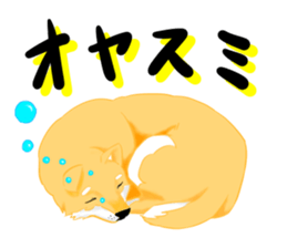 shibainu ryu sticker #15922568