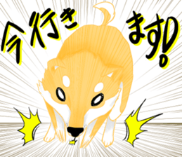 shibainu ryu sticker #15922570