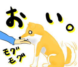 shibainu ryu sticker #15922576