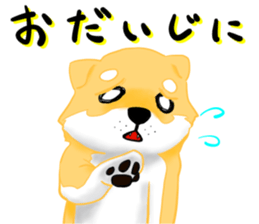 shibainu ryu sticker #15922577