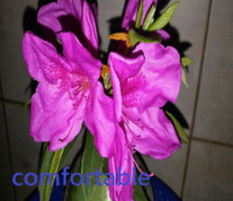 Vast sticker #15922794