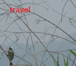 Vast sticker #15922796