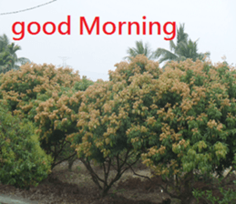 Vast sticker #15922797