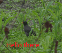 Vast sticker #15922799