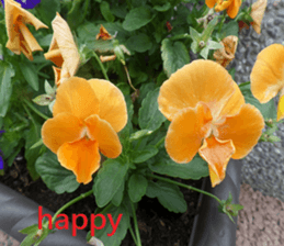 Vast sticker #15922800