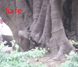 Vast sticker #15922801