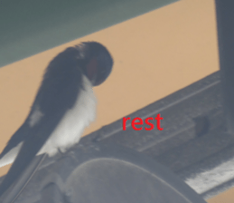 Success sticker #15923364