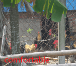 Success sticker #15923366