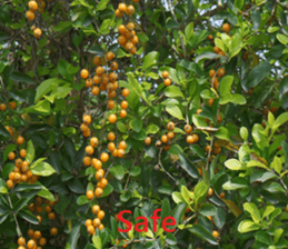 Success sticker #15923367