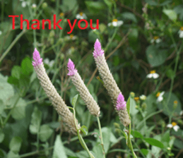 Success sticker #15923368