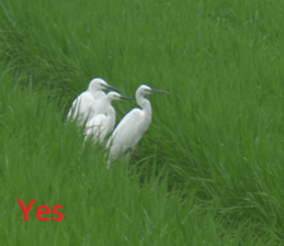 Success sticker #15923369