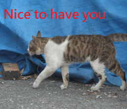 Hu Mei sticker #15923707